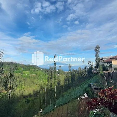 Bromo Indah Lestari Homestay Mitra Reddoorz 파수루안 외부 사진